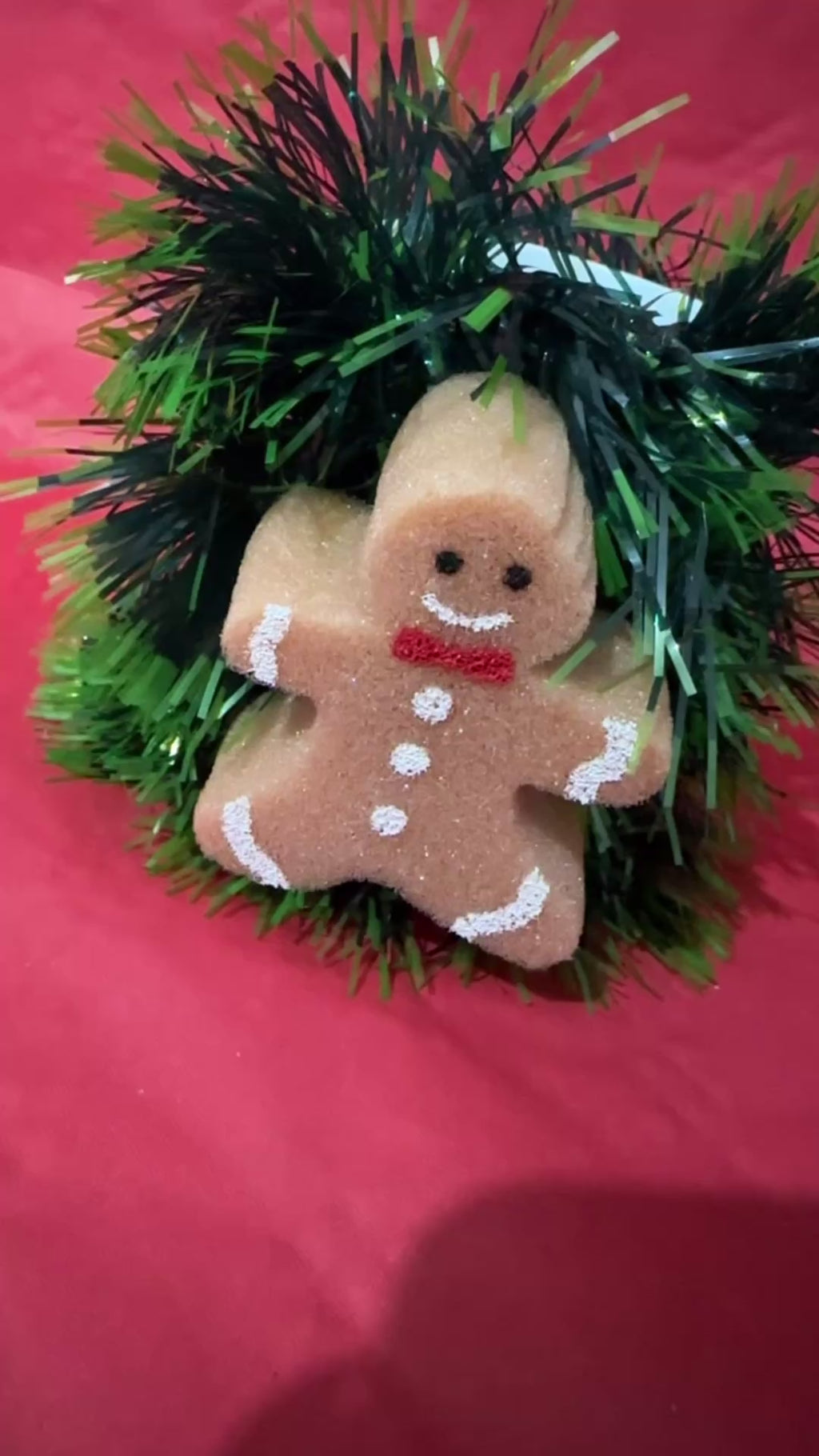 Porta penna biscotto