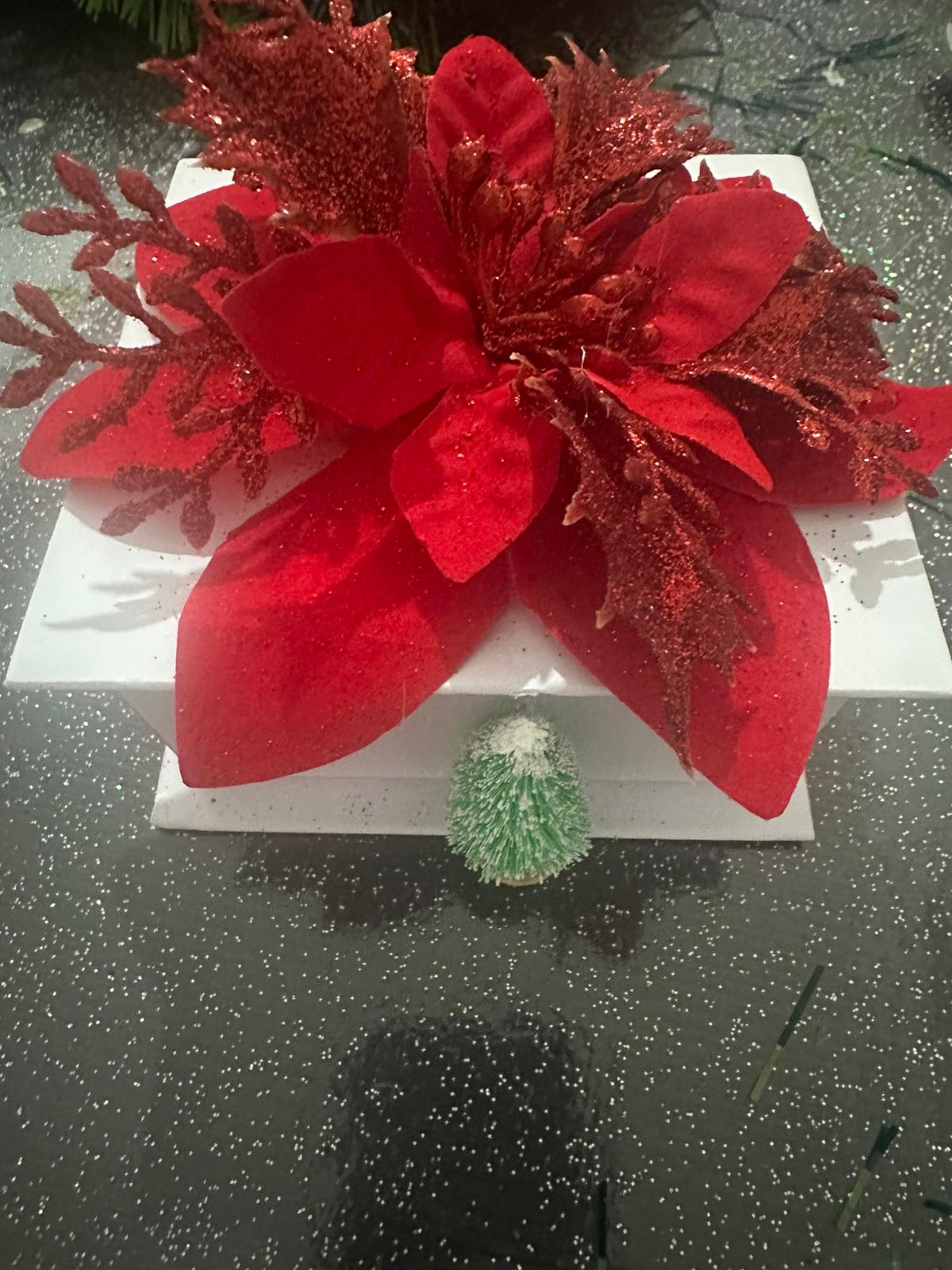 Scatola Portaoggetti