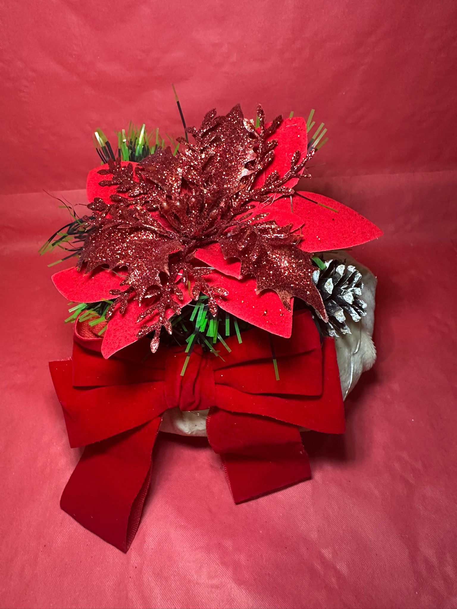 BonBon medio  Stella Di Natale